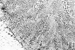 Fig.4 Transverse section of specimen welded with 0.8kW ultrasound