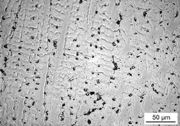 Fig.1. Typical light micrograph of the root microstructure of UNS S31254 weld WAH1