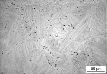 a) light photomicrograph