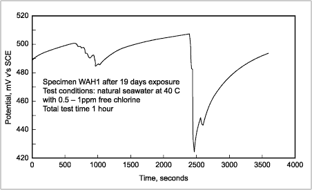 Potential fluctuation in UNS S31254