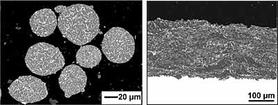 Fig.1. SEM image (backscattered) of AlSnCu powder and coating heat treated at 300°C 1hr. Both viewed in cross section 