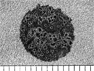 Fig. 11. Surface of nickel alloy 625 coating after exposure to test solution at +300 mV SCE for 20 hours. Bar shown is in mm