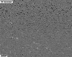 Fig.1. Backscattered SEM images of a) low microhardness (03-92)