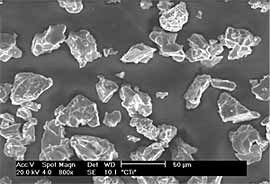 Fig.1. SE image showing CTi powder morphology