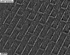 Fig.7. Channels created using Surfi-Sculpt 