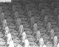 Fig.19. Electron beam Surfi-Sculpt TM surface