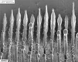 Fig.23. Stainless steel pinnacle array produced by 10Hz, 1000 point 16 line raster at 150kV x 2mA 