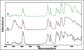 spatoct07f4.gif