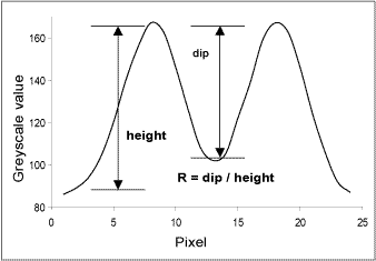 spbbfeb2006f11.gif