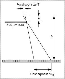 spbbfeb2006f5.gif