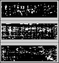 Fig. 5. A two-dimensional map of the porosity damage for unidirectional (top), cross-ply and quasi-isotropic laminates