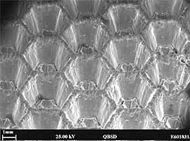 Fig.12. Honeycomb treatment made using SIM Surfi-Sculpt , in Titanium alloy
