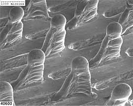 Fig.14. Streamlined fins should allow heat transfer with less drag; curved features may be used to promote vorticity 