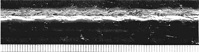 Fig. 2: Example of a melt run showing a pulsed top bead. Scale in millimetres