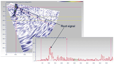 Fig. 12. Detection of the root signal from slot I-Z using appropriate calibration 