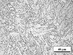 Fig.1. Grade 450EMZ microstructure (2% nital etch) 