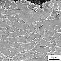 Fig.22. Scanning electron micrograph (2% nital etch) of the region below the unpropagated notch in the double-notched bend specimen. Cracked carbides are clearly visible in the large strain region immediately below the notch root (arrows indicate a few of them). The spatial density of cracked carbides diminishes with distance from the notch tip 