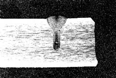 Fig.4 CO2 laser weld