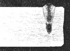 Fig.5 CO2 laser weld with A-TIG flux