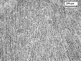 Fig.2. As-deposited, as-welded microstructure in the capping layer of weld W2, showing the narrow columnar prior-delta ferrite grains