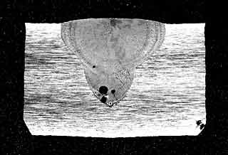 a) without A-TIG flux (AH1963)