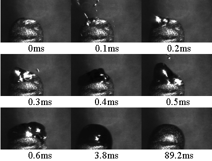 Figure 11. High magnification pictures of the tip of a single protrusion produced during the laser Surfi-Sculpt process