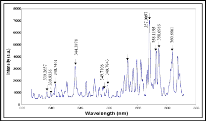 Fig. 2. Portion of the spectrum of the Fe plasma