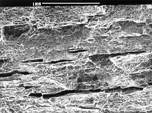 Fig.9 Fracture surface of W02-05, nominally X40.