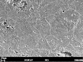  Fig. 11. SEM image showing the flat and relatively featureless interfacial fracture morphology observed in fracture faces of specimens extracted from the commercially produced weld