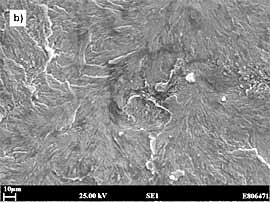 b) Cleavage in partly mixed zone of a joint given a PWHT of 10h at 1250F