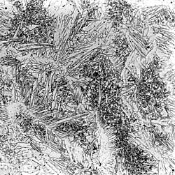 Fig.2. Superduplex weld metal of weld W7P after PWHT. The secondary austenite appears as very fine particles between the larger primary austenite units