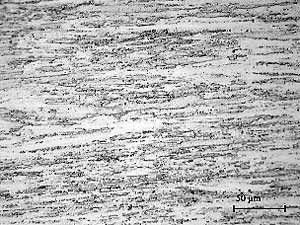 Fig. 3. Microstructure of fine grained Fe 3Al-ODS alloy