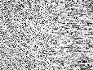 Fig. 4. Microstructure of deformed region in HAZ of friction weld in fine grained Fe 3Al-ODS alloy