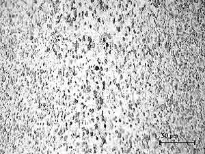 Fig. 5. Microstructure of bond line region of friction weld in fine grained Fe 3Al-ODS alloy