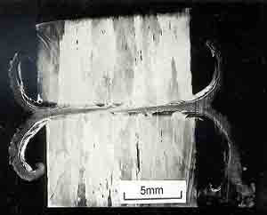 Fig. 6. Macrosection of friction weld between coarse grained ODS alloy and itself