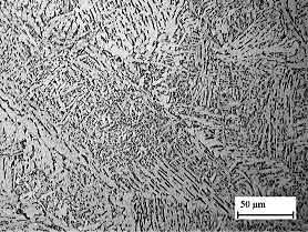 Fig.2. Weld in steel G showing an acicular ferrite microstructure, with some grain boundary ferrite and Widmanstätten ferrite