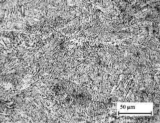 Fig.6. Microstructure of autogenous Nd:YAG laser weld