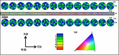 Fig.6. EBSD IPF map with respect to ND for the upper region in Figure 5. (111) pole figures in 1200 µm steps are shown across the whole map, with ND in the centre above the map and WD in the centre below 