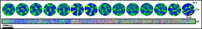 Fig.7. EBSD IPF map with respect to ND for the mid-section region in Figure 5. (111) pole figures in 1200 µm steps are shown across the whole map. Note the pole figures are shown with the ND in the centre and the WD at the bottom 