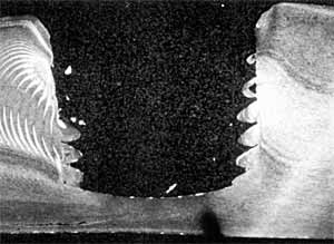 Fig.4. Longitudinal vertical section in travel direction after synchronised pin retraction, showing trailing void on left hand side (after Colligan)[120]