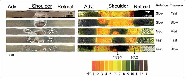 Fig.49. Macrographs (left) and corresponding gel visualisations (right) of corrosion attack on cross-sections of 2024 friction stir welds after immersion in 01M NaCl for 24 h: welds were produced at different speeds and are arranged from top to bottom in order of decreasing heat input[396]