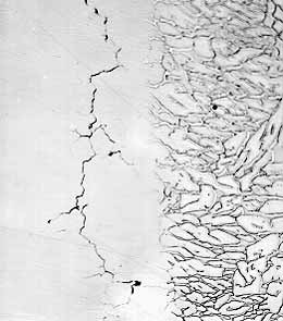 Fig.2b. Tip of SSC crack in 11Cr1.5Ni steel (as-welded, 0.01bar H2S, pH = 4.0), with intragranular morphology