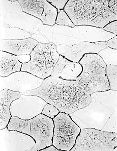 Fig.2. Microstructure of superduplex hub material, X500