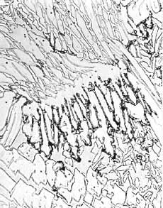 Fig.1. Intermetallic phase in as-deposited weld metal 