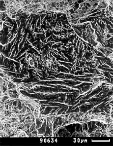 Fig.5. Environmentally induced cleavage fracture on SSRT specimen HT1