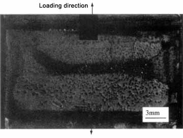 Fig.5. PMMA/acrylic joint bonded area after 1000 hours ageing