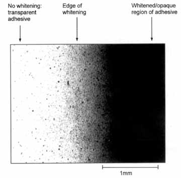 Fig.6. Through-transmission optical micrograph of edge of opaque region in PMMA/acrylic joint after 500 hours ageing