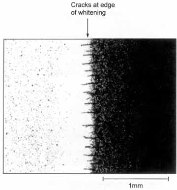 Fig.7. Through-transmission optical micrograph of edge of opaque region in PMMA/acrylic joint after 500 hours ageing, followed by 100 hours drying in air at 20°C