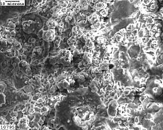 Fig. 4. SEM image of the as deposited surface of the Keronite coating on AZ91D