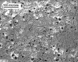 Fig. 7. SEM image of the exposed area of the Keronite coated specimen after one-month exposure to 3.5% NaCl solution